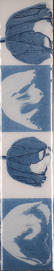 Фриз 5x25 Betula Azul